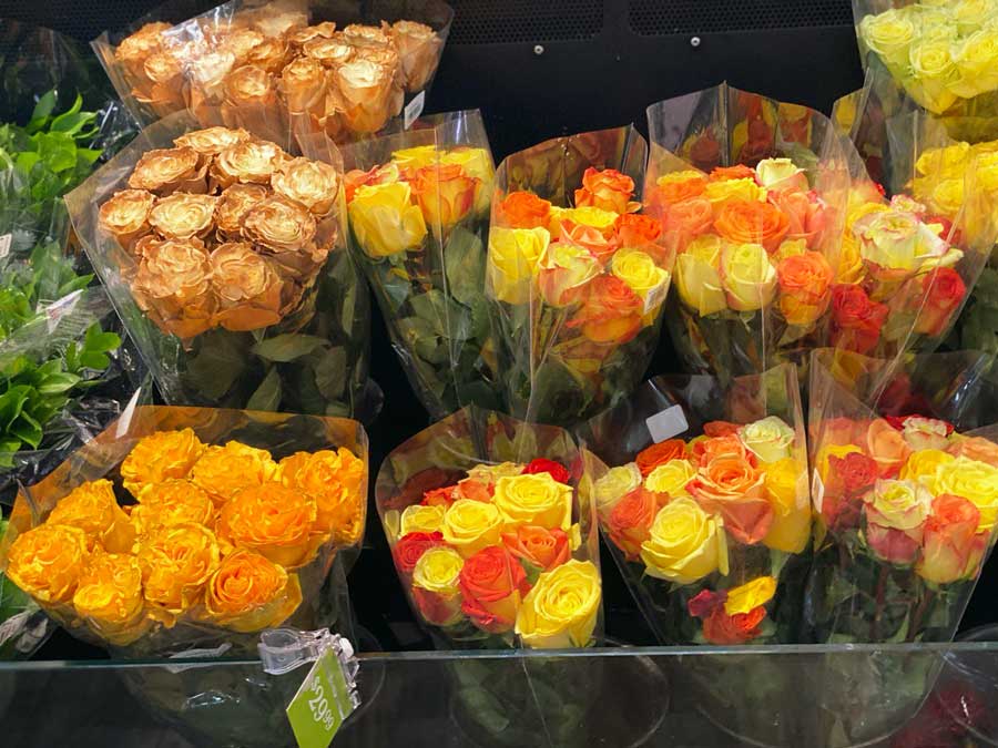 Yellow and Orange Roses to Buy