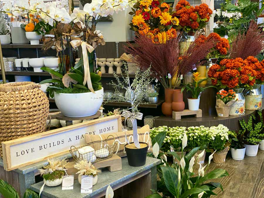 Plants to Buy at Florists