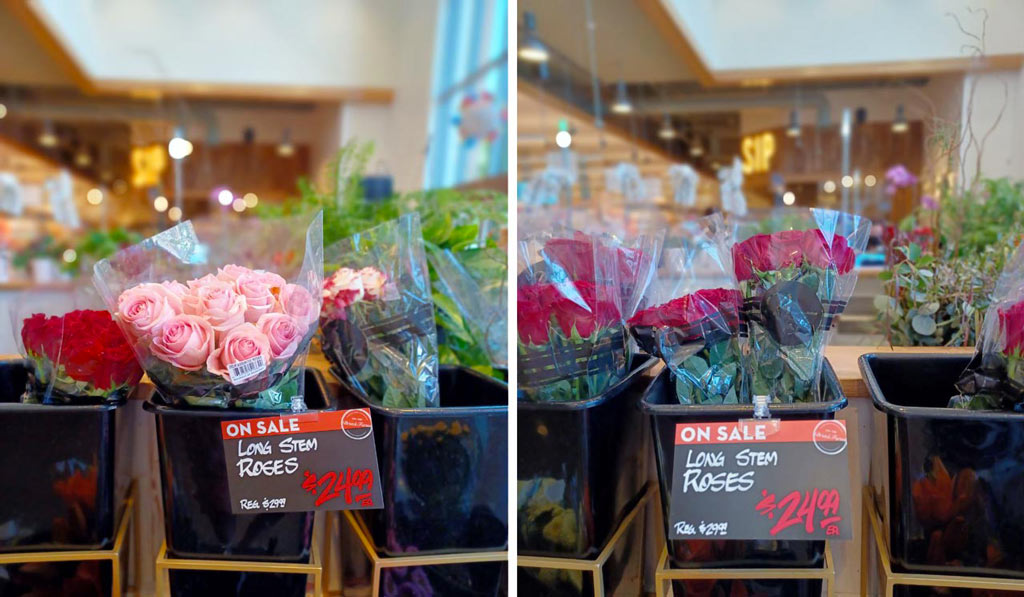 Hawley's Florist Roses on Sale