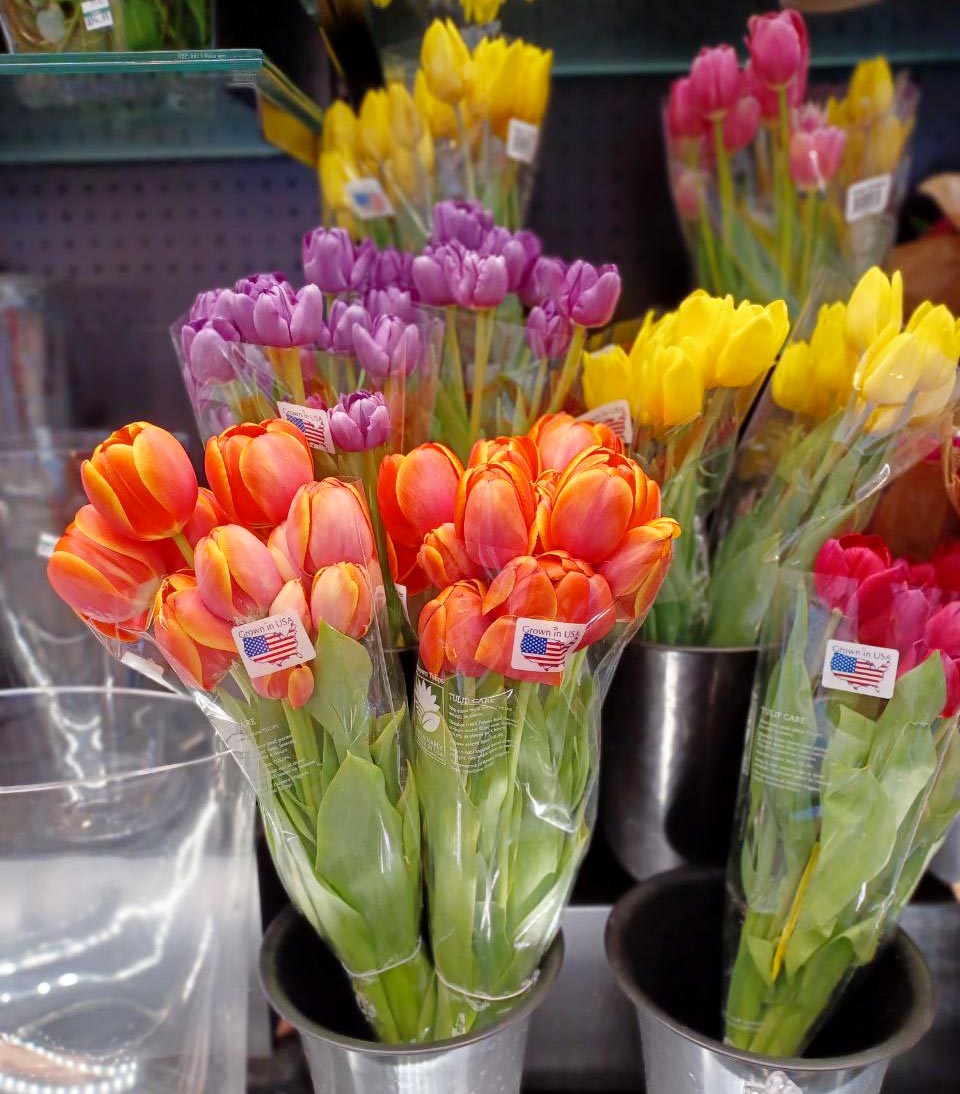 Hawley's Florist Tulips